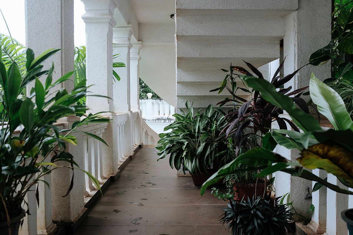 Pasillo exterior con barandilla blanca decorado con plantas tropicales en macetas
